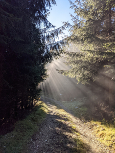 gallery/pxl_20201218_101717370